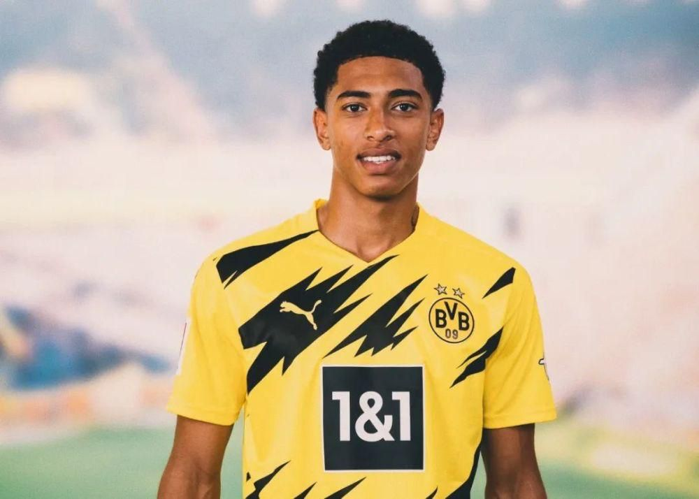 野化学反应 野化学反应